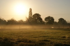 SONY DSC
